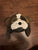 Baby gap puppy winter hat  Infant (0-2 yrs)
