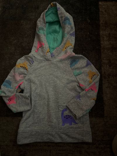 Cat and jack dinosaur hoodie Long sleeve hoodie size 2t 2T