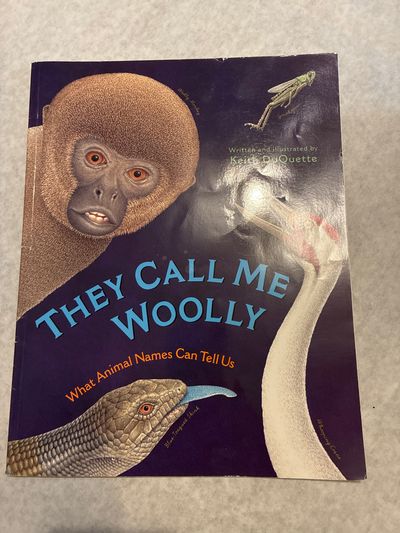 They call me woolly