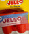 brand new dog toy brand new dog toy