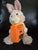 BCS Joyward The adventures of Peter rabbit animated talking toy