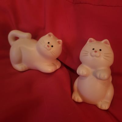Unknown 2 white kitties