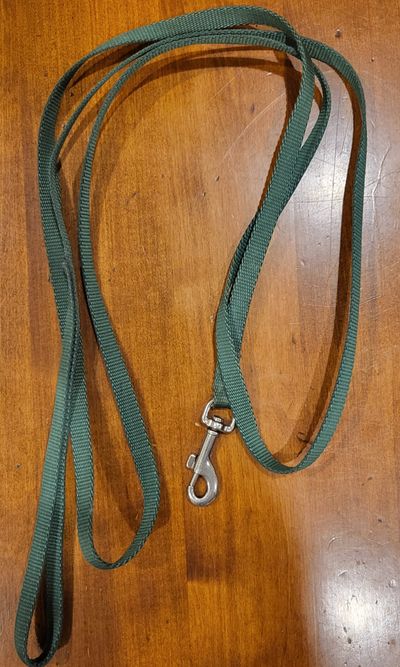 unknown Green dog/cat/ferret/rabbit/guinea pig leash