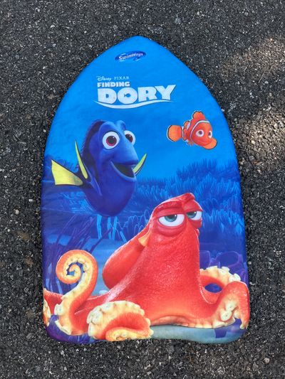 Disney dory Dory kick board