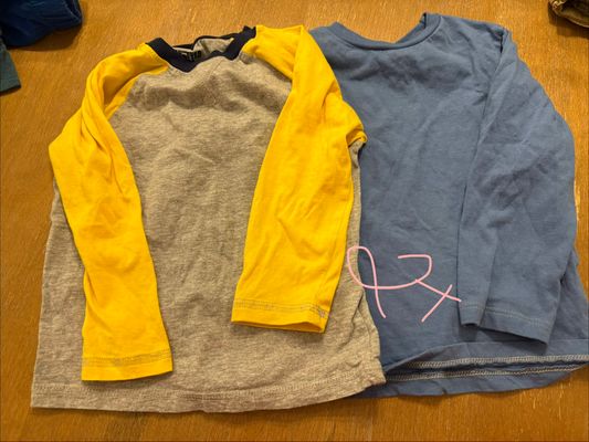 Various Long sleeve shirts never worn 2T