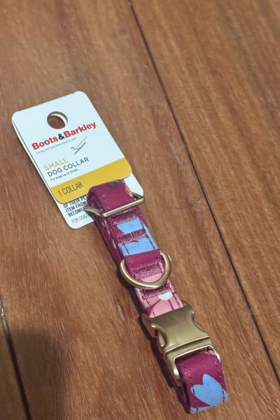 Brand new small dog collar