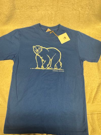 Brand New with tags, Tshirt size Large Brand New with tags, Tshirt size Large 10-12