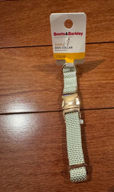 Brand new boots and Barkley small dog collar