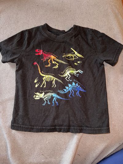 Garanimals Black graphic tee 2T
