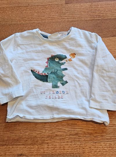 Zara Baby Boy Like new boys 9-12M long sleeves feature playful TRex graphics 9-12 Months