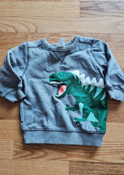 Carter's Cute & playful dinosaur graphic sweatshirt in excellent condition 12 Months