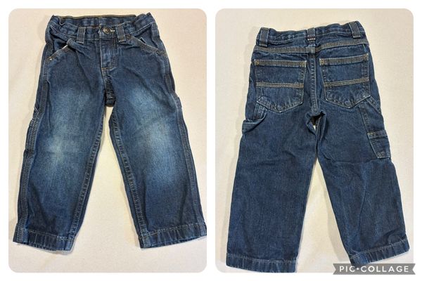 Arizona Jean Co Carpenter style jeans 2T