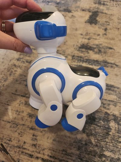 Robot dog with batteries Moves around , has sounds