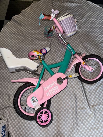 Rainbow 1.0 Pink and teal bike with basket and baby doll seat - missing 1 str 12 Kids Bike