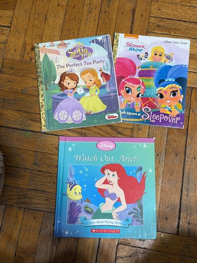 Disney princess Ariel shimmer shine  book