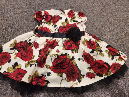 Koala Baby Boutique 6M Fancy silky dress with bloomers 3-6 Months