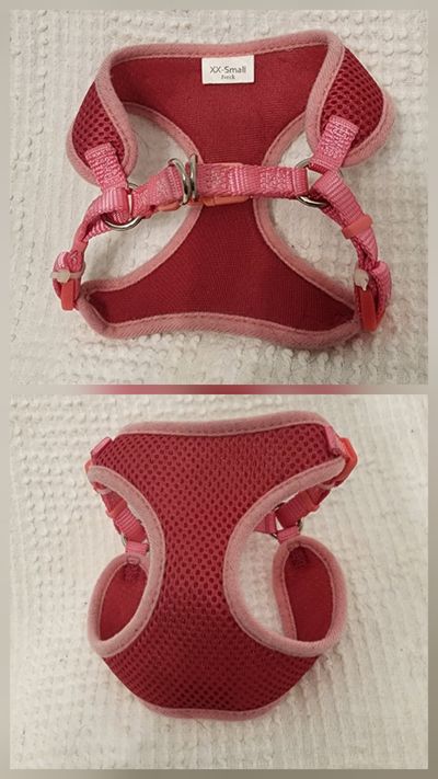 VEST FOR CAT