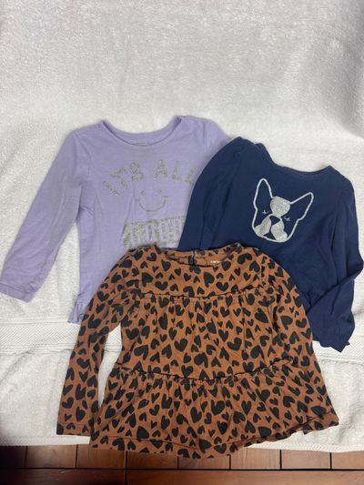 Little Girls Long Sleeve Shirt Bundle. Size 2T Little Girls Long Sleeve Shirt Bundle. Size 2T 2T