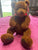 Gund brown bear with heart on chest About 8inches sitting