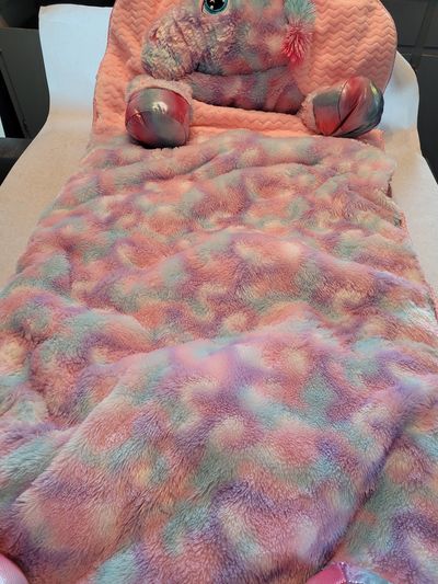 Unicorn sleeping bag Purple pink and aqua