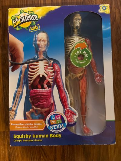 Edu science lab NEW Squishy human body - NEW