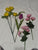 Bundle of fake flowers Bundle of fake flowers