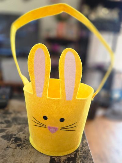 Brand New Cat Rabbit small basket