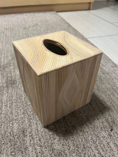 Pigeon and poodle Tissue box