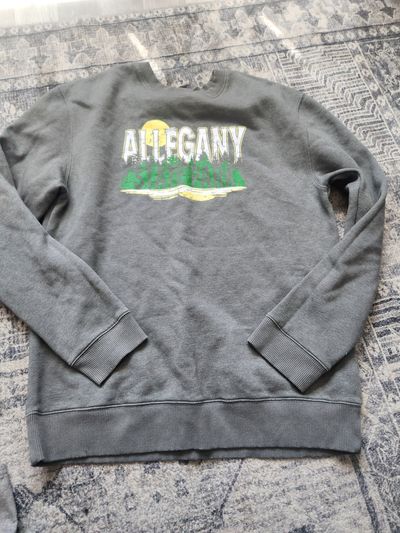 Alleghany State Park sweatshirt size XL  14-16