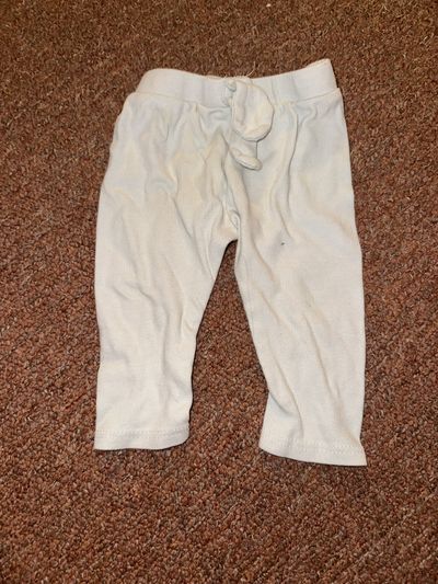 Hudson Baby light gray pants 9-12 Months