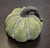 Pumpkin Ceramic Green Burlap texture