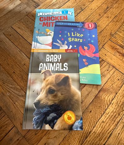 Level 1 books animals stars chicken little