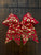 Boutique NEW 3 inch Cheer Bow red, gold cheetah