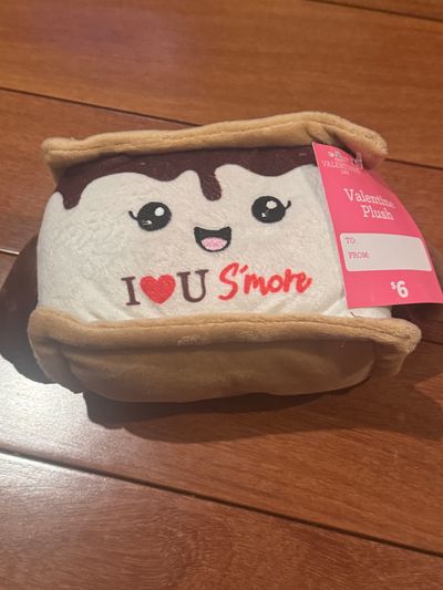 Brand new s'mores stuffie Valentine's Day