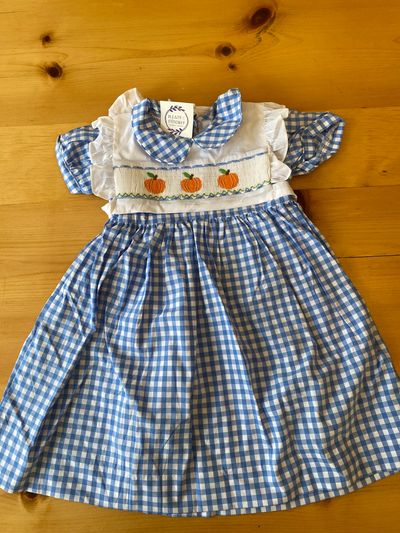 Pleats and Stitches Smocked Pumkin Dress New with Tags 5T/5