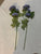 Brand New Bundles of Flowers Brand New Bundles of Flowers