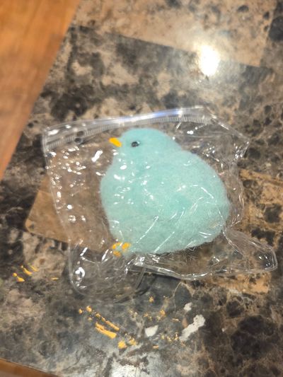 Brand New fuzzy chick squishy