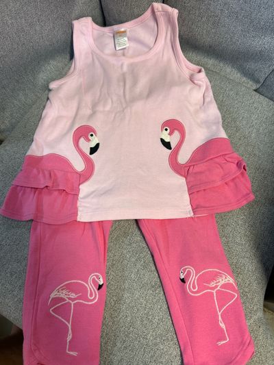 Gymboree  3T