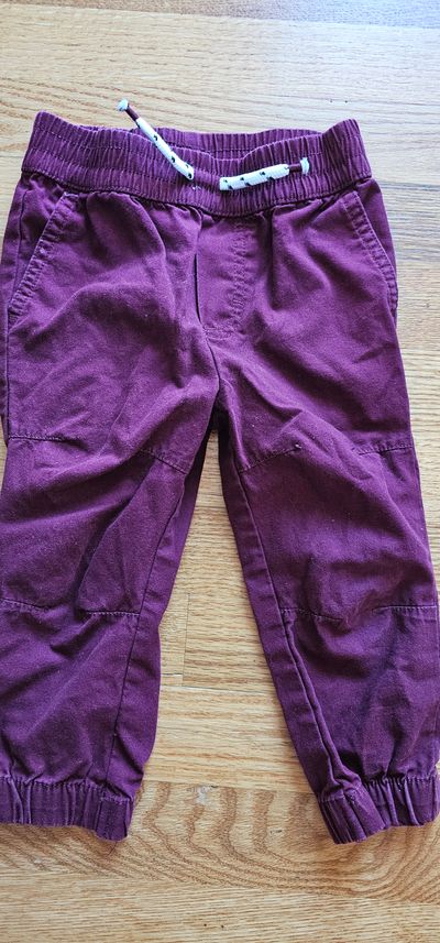 Geranimals Like New Boys dress pants with elastic ankle cuffs 2T