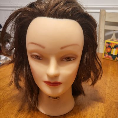 Milody Manikin Cosmetology Mannequin Head Brunette Hair