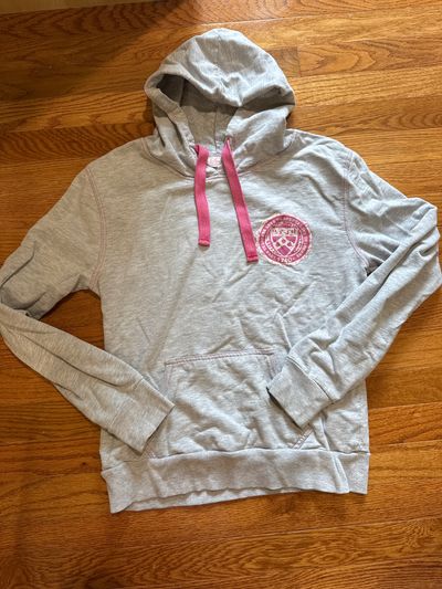 Secret possessions Size 14-16 hooded gray pink sweater Junior XL - 13