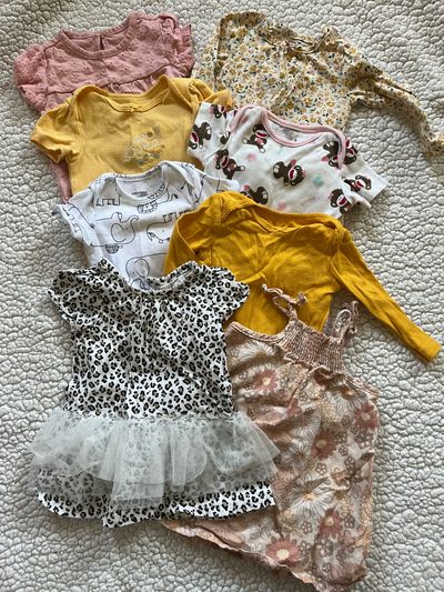 Carters and other brands 6 month lot 8 Onesies and tops. Great condition. SFPF home 6 Months