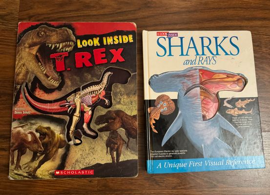 Look inside t-rex Sharks & rays