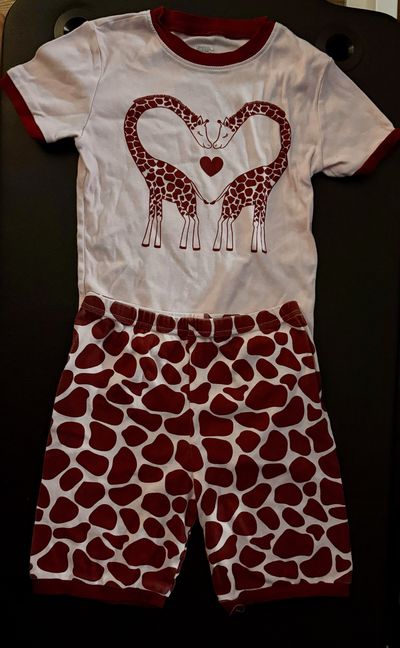 Family Feeling Pink giraffe themed pajamas set 10-12