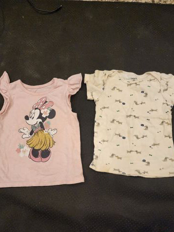Disney , carter pink, short-sleeved  Minnie Mouse, short-sleeved small dog 18-24 Months