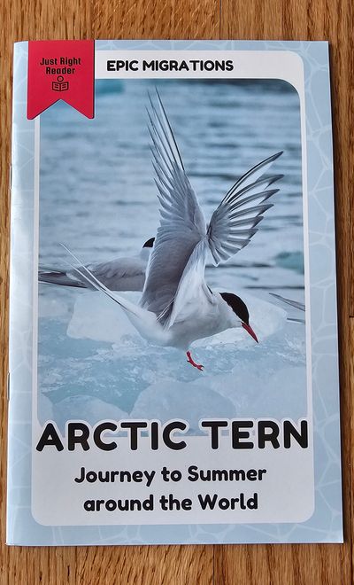 Just Right Reader, Inc BN Epic Migrations about Arctic tern Text structure:Cause/Effect