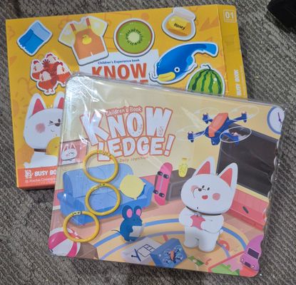 Busy Book #1 Cognition Language Vocabulary Age 3+ Brand New