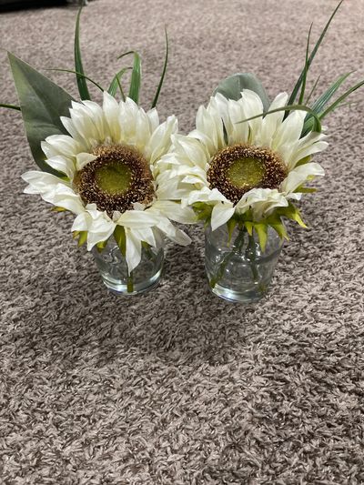 NA Fake plants