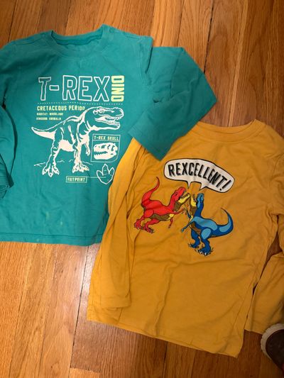 Cat and Jack Cat and Jack 2 long sleeve dinosaur tee 5T/5