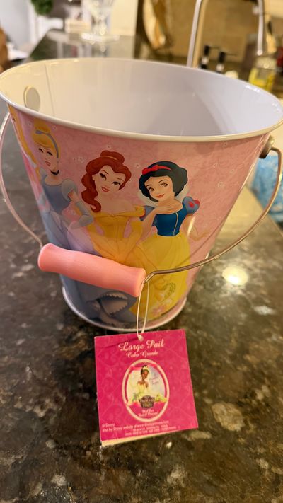 Disney Princess NWT Metal Pail